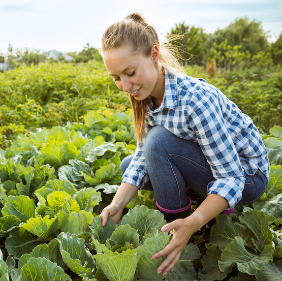 Droit Rural Agriculteur Viticulteur Notaires Office